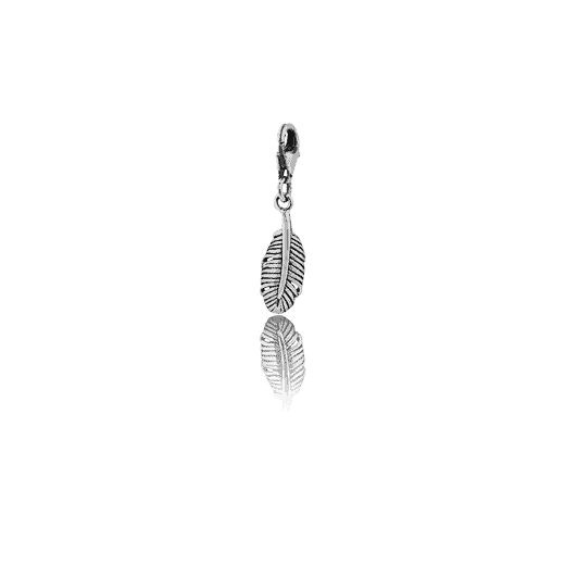 Silver Huia Feather Link Charm_0