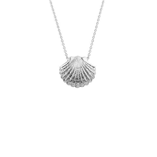 Evolve Ocean Scallop Necklace (Direction)_0