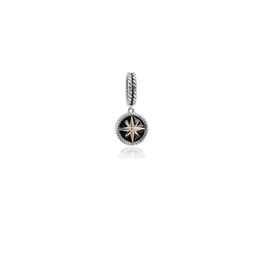 Compass (Navigation - Silver, Gold & Enamel)_0