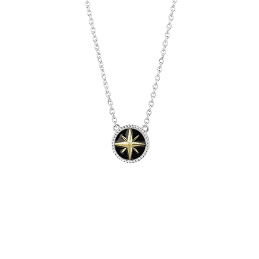 Compass Necklace (Navigation - Silver, Gold & Enamel)_0