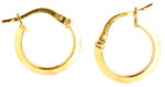 Gold Hoops_0