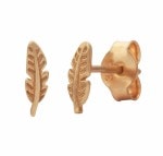 Rose Gold Fern Studs_0