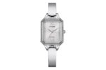 Citizen Ladies Eco-Drive Women's Silver Watch_0