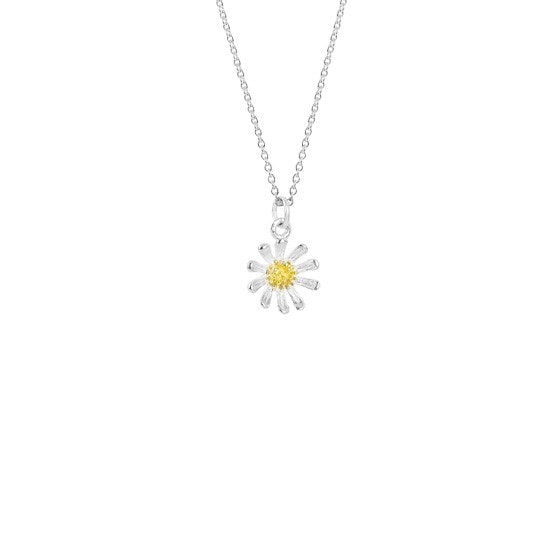 Evolve Daisy Necklace_0