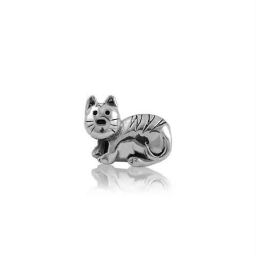 Evolve Kitty Cat Charm_0