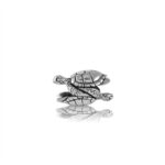 Evolve Sea Turtles - Focal Charm_0