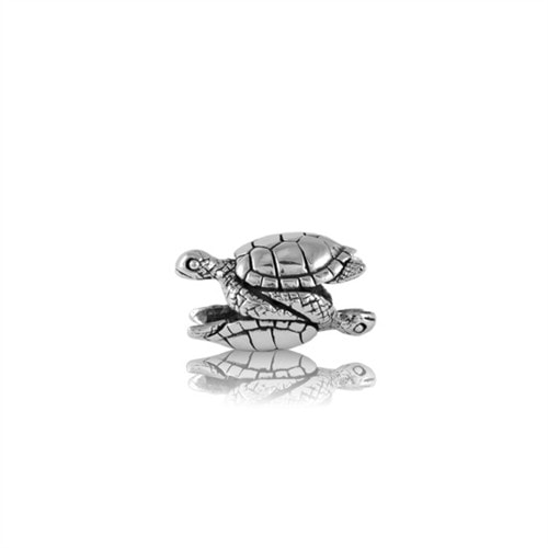 Evolve Sea Turtles - Focal Charm_0