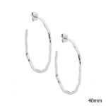 Stainless Steel Hoop Earrings_0