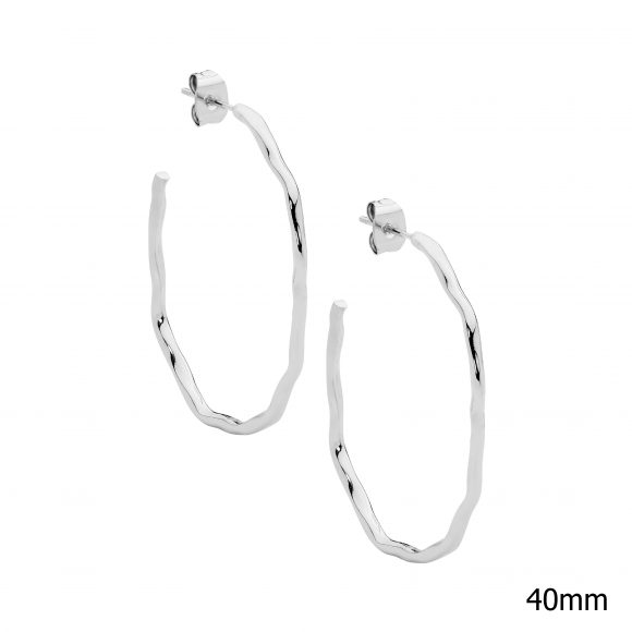 Stainless Steel Hoop Earrings_0
