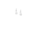 Silver paw print earrings on hooks_0