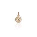 Gold Vermeil Tui Coin Pendant_0