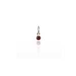 Evolve January Birthstone Pendant Charm_0