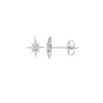 Silver Star Studs with CZ_0