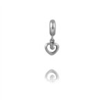 Evolve Heart of NZ Hanging Charm_0