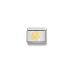 Nomination Zodiac Leo Charm S/Steel and 18ct_0