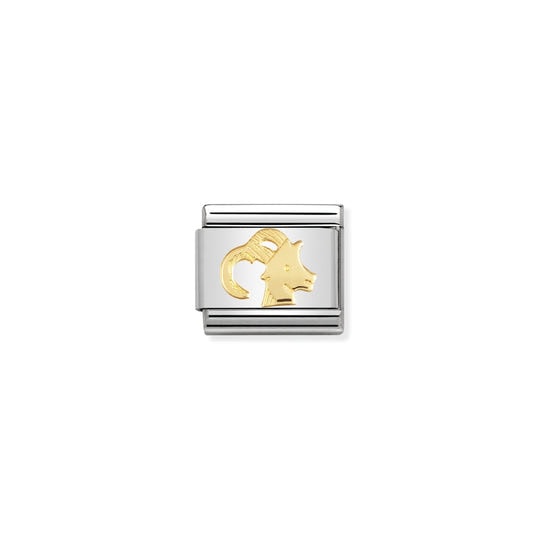 Nomination Zodiac Capricorn Charm S/Steel and 18ct_0