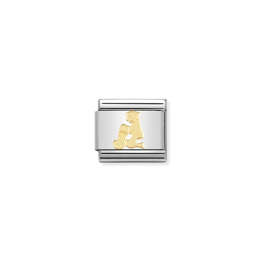 Nomination Zodiac Aquarius Charm S/Steel and 18ct_0