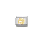 Nomination Zodiac Pisces Charm S/Steel and 18ct_0
