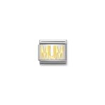 Nomination Mum charm s/steel and 18ct_0