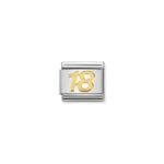 Nomination 18 Charm S/Steel and 18ct_0