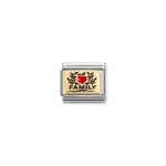 Nomination Family with Red Heart S/Steel and 18ct_0