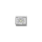 Daisy CZ Charm S/Steel and Silver_0