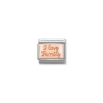 I Love Family Plate Charm S/Steel and Rose Gold_0
