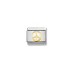 Peace Charm S/Steel and 18ct_0