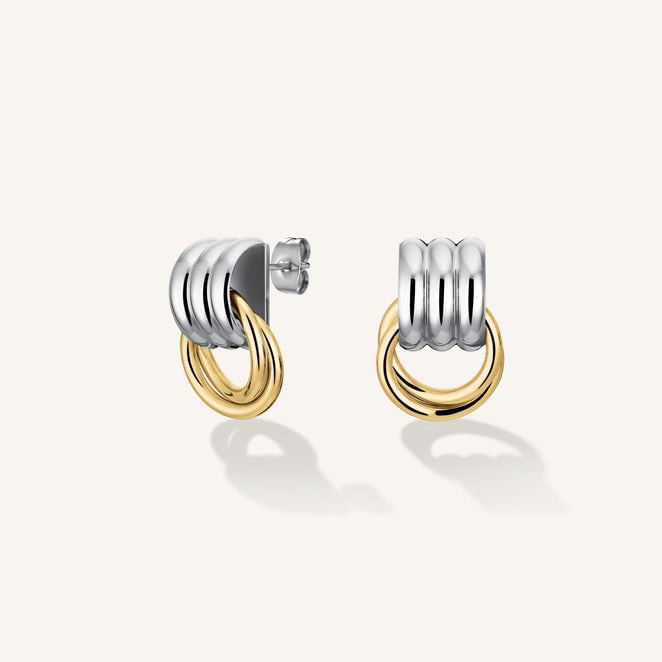 Stainless Steel Bi-Tone Earrings_0