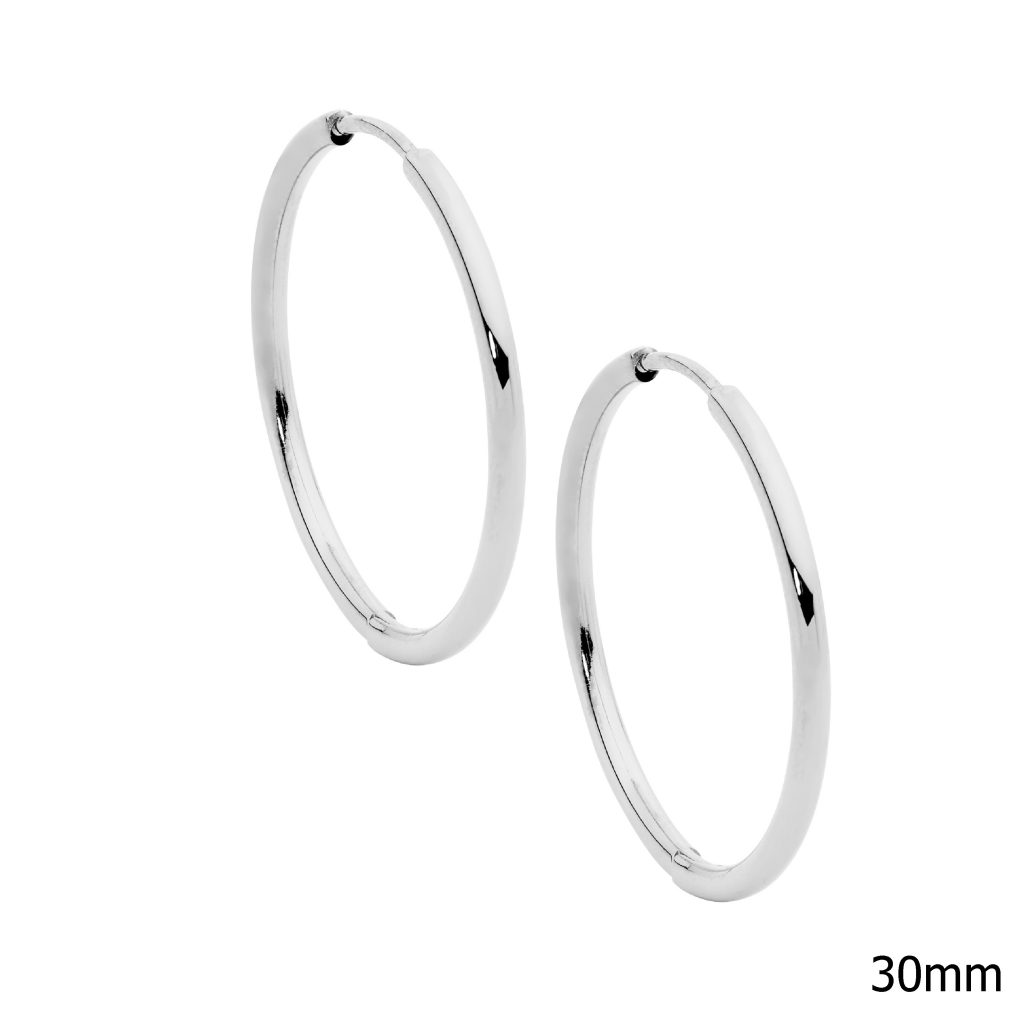 Stainless Steel 30mm Hoops_0