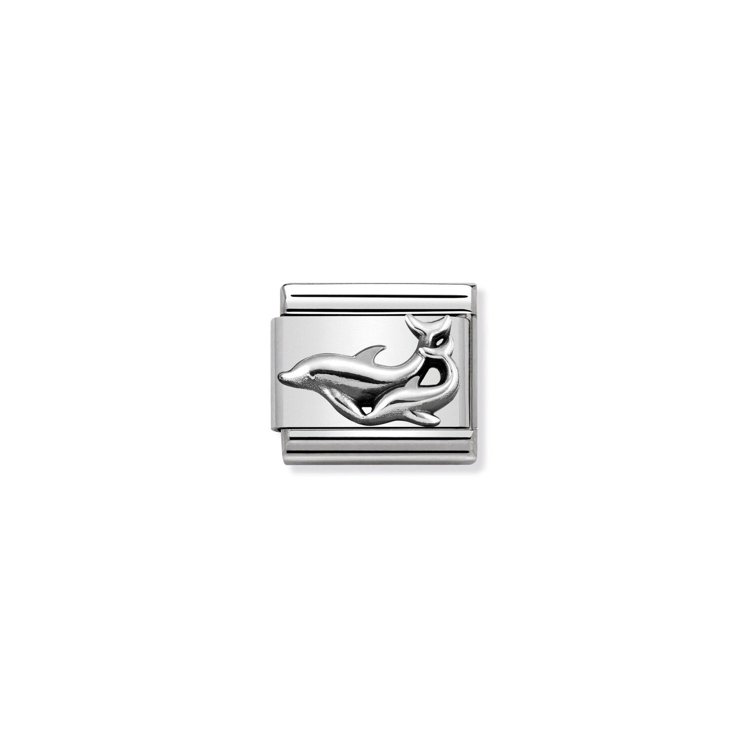 Dolphins Nomination Charm_0
