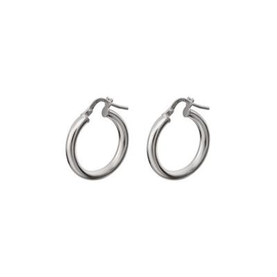 Silver Hoop Earrings_0
